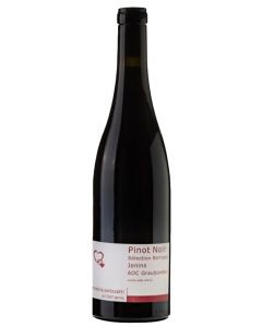 Annatina Pelizzatti, Pinot Noir, Sélection Barrique, Jenins 2020 1,5l