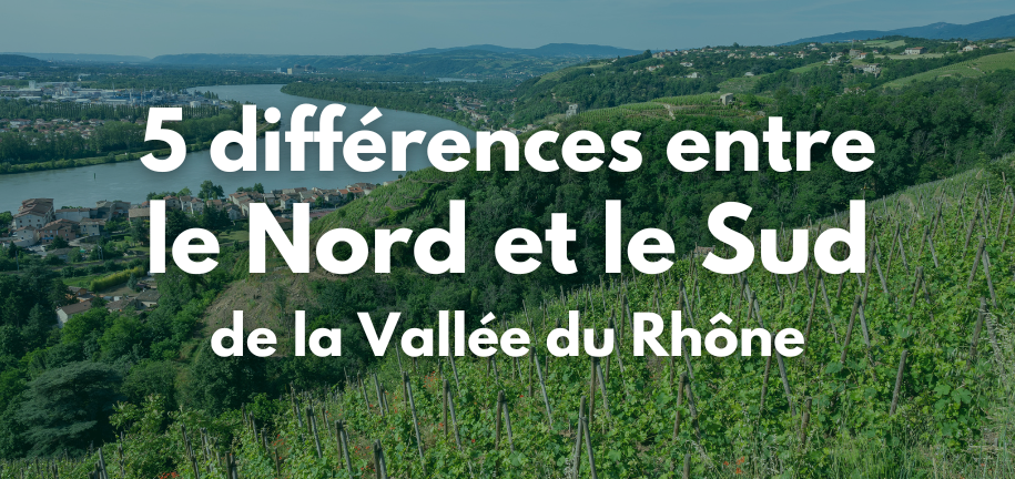 5 différences entre le Nord et le Sud de la Vallée du Rhône