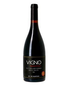 Valle del Maule GI De Martino Vigno - Old Vines Dry-Farmed Carignan 2015 Rouge 0,75
