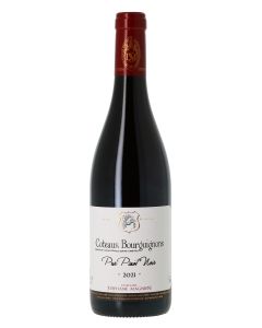 Domaine Stéphane Magnien, Pur Pinot Noir, 2021
