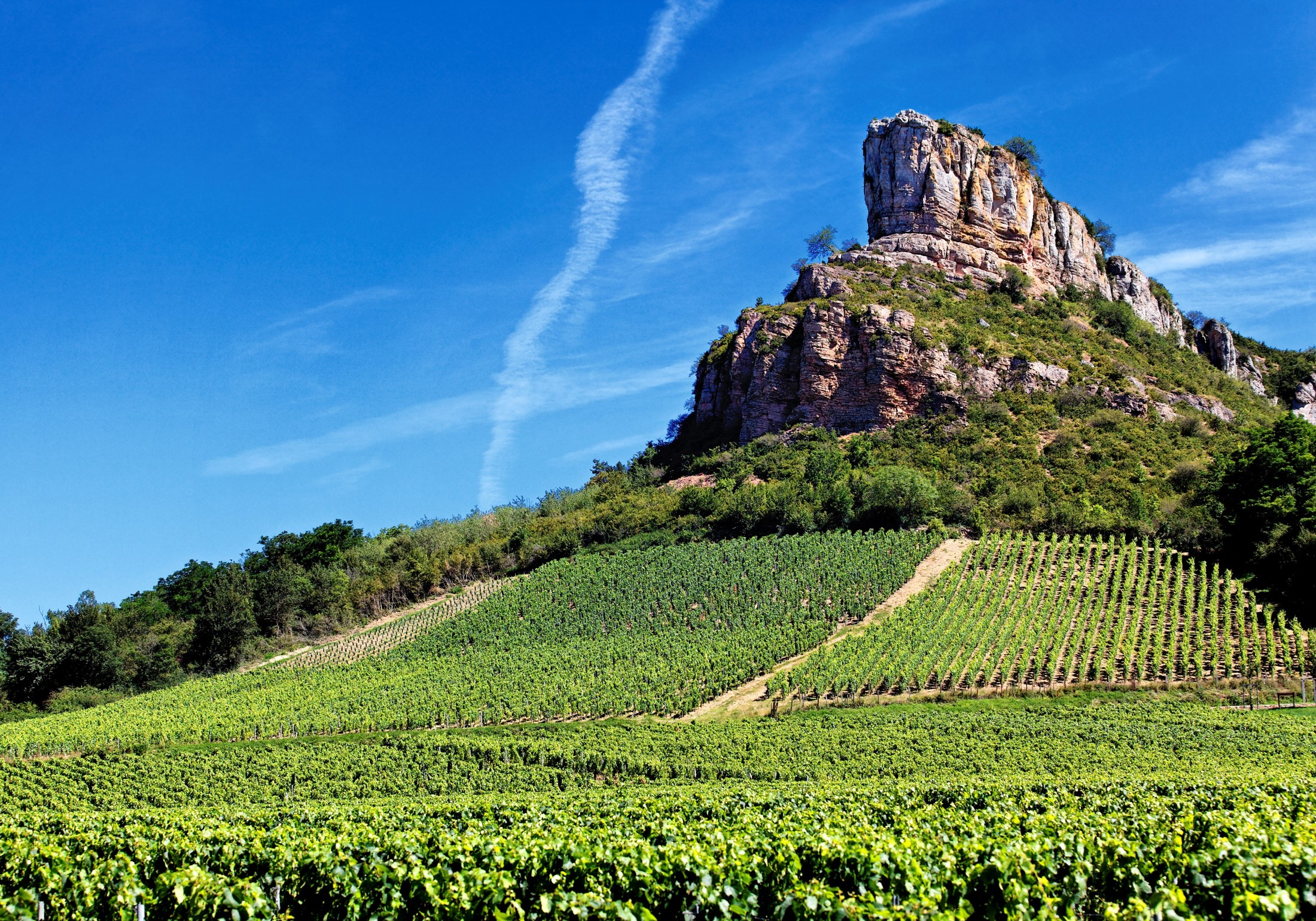 viaje a francia borgoña y sus vinos blancos